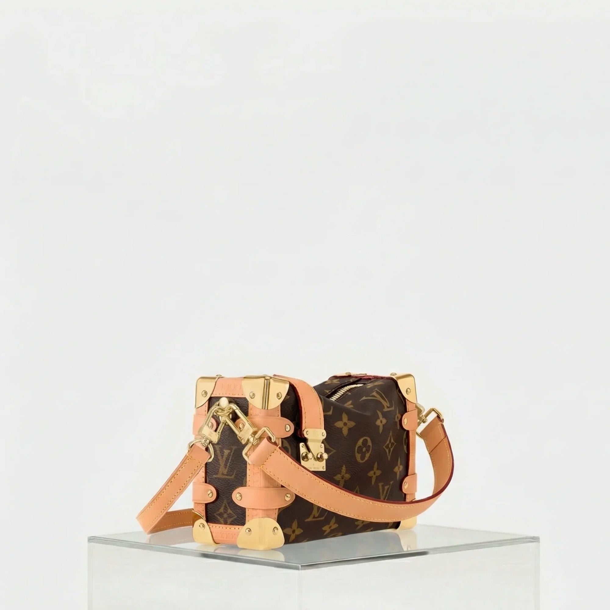 Оригінальна Side Trunk Pm Louis vuitton – вид ззаду