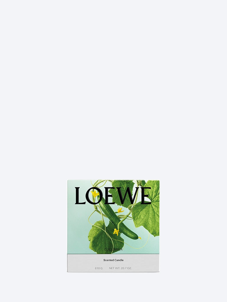 Loewe Home & Lifestyle оригінал | Швидка доставка Україна – вид ззаду