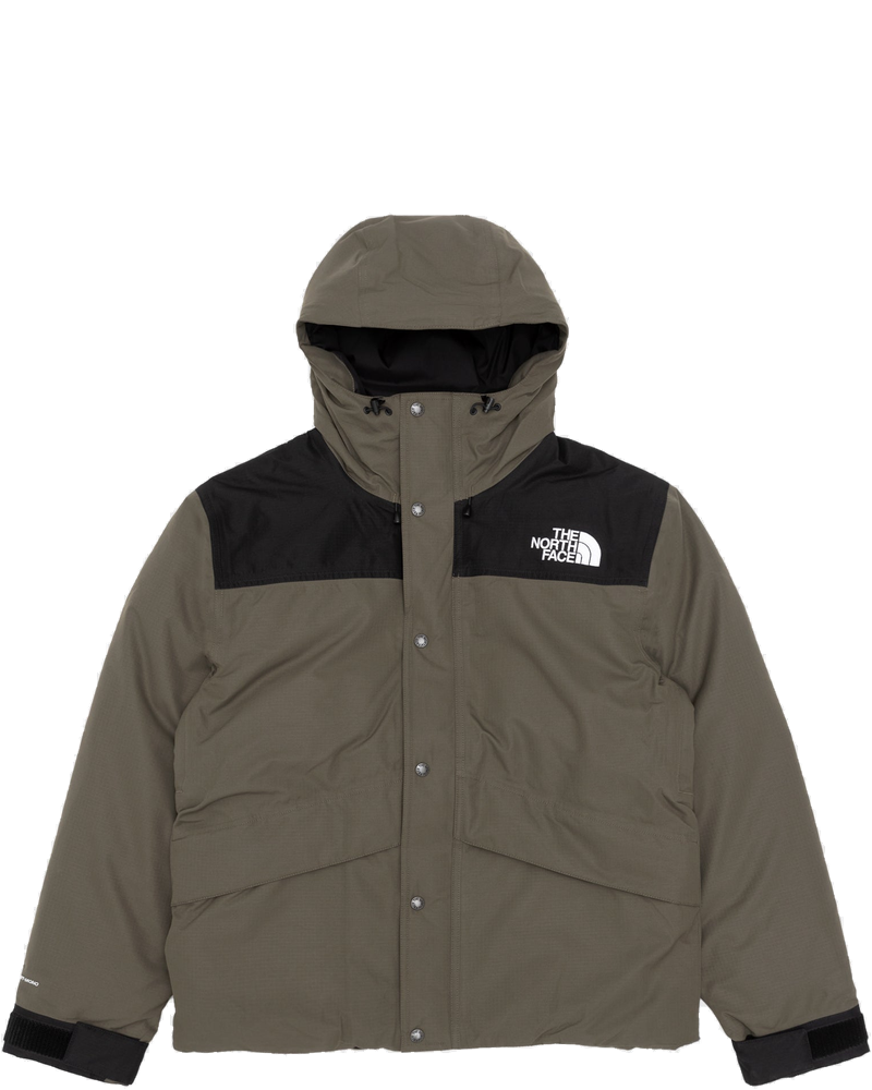 Оригінальна Mountain Down Jacket The north face bg_removed_catalog