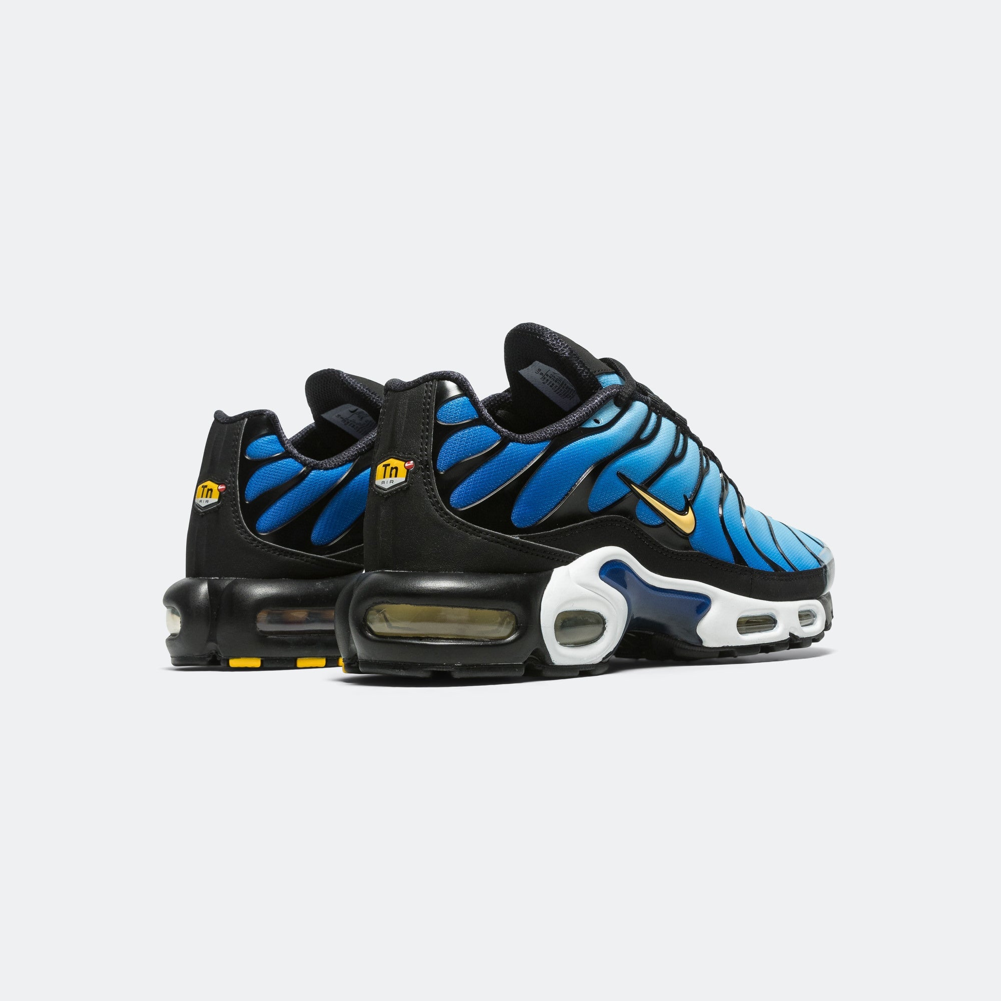 Оригінальна Air Max Plus Nike – детальний вид