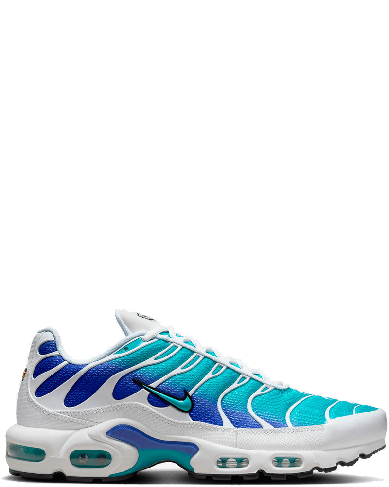 Оригінальна Air Max Plus Nike