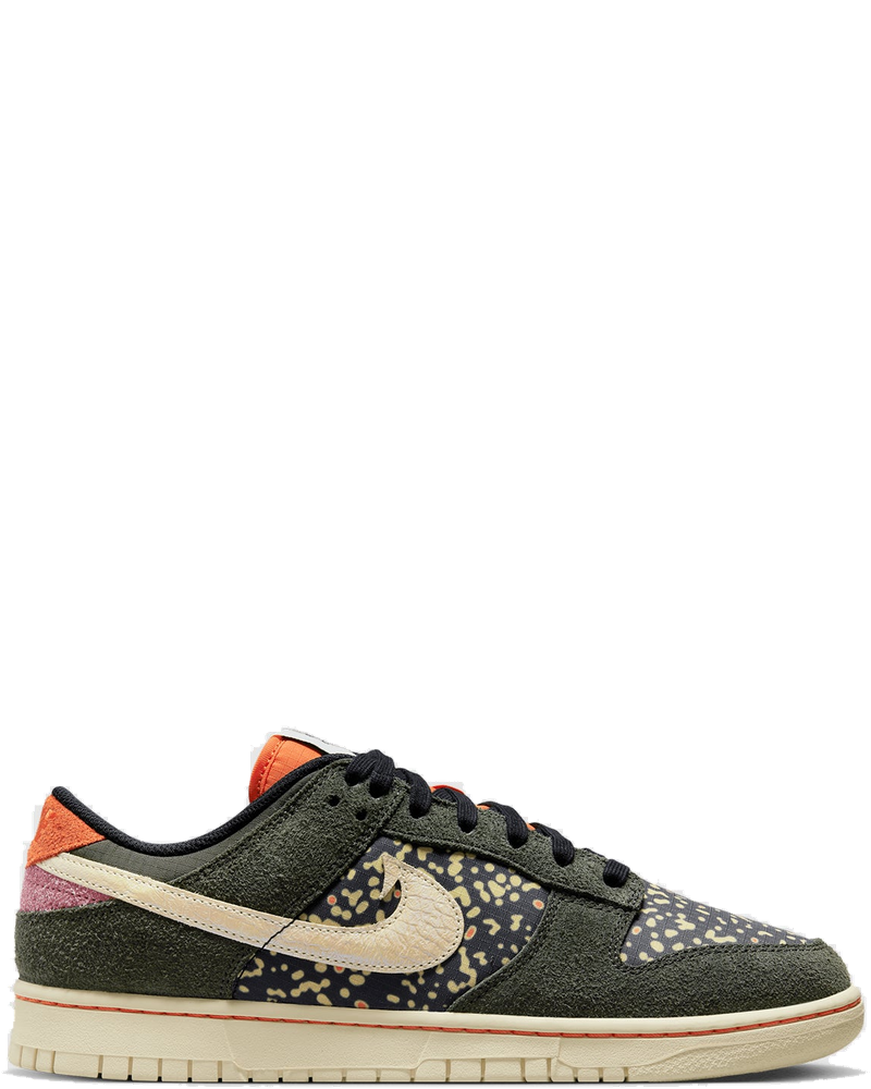 Оригінальна Dunk Low Retro Se Rainbow Trout Nike