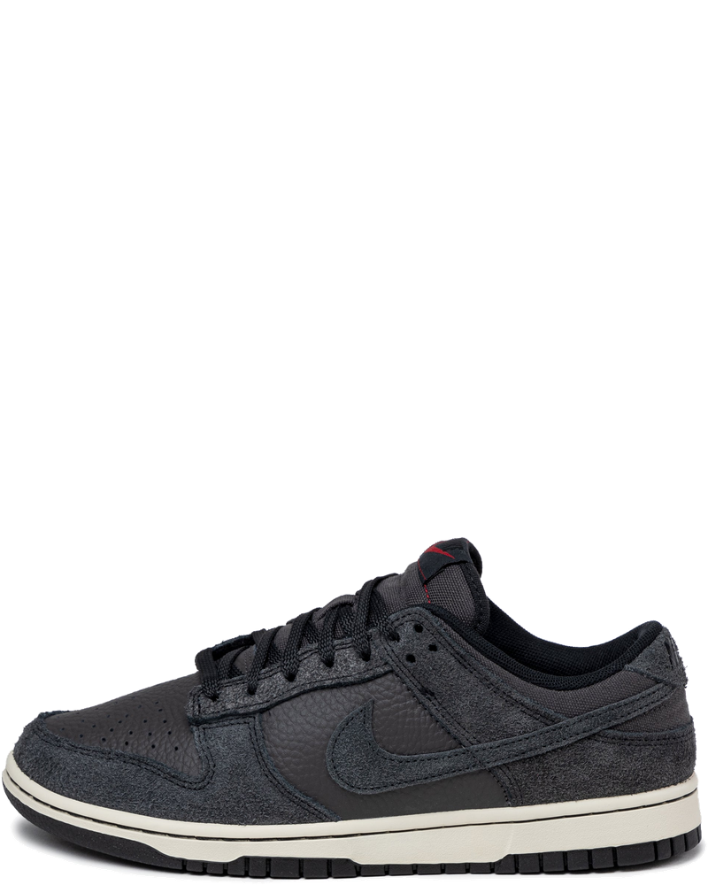 Dunk Low Retro Prm Nike оригінал – Купити в Україні