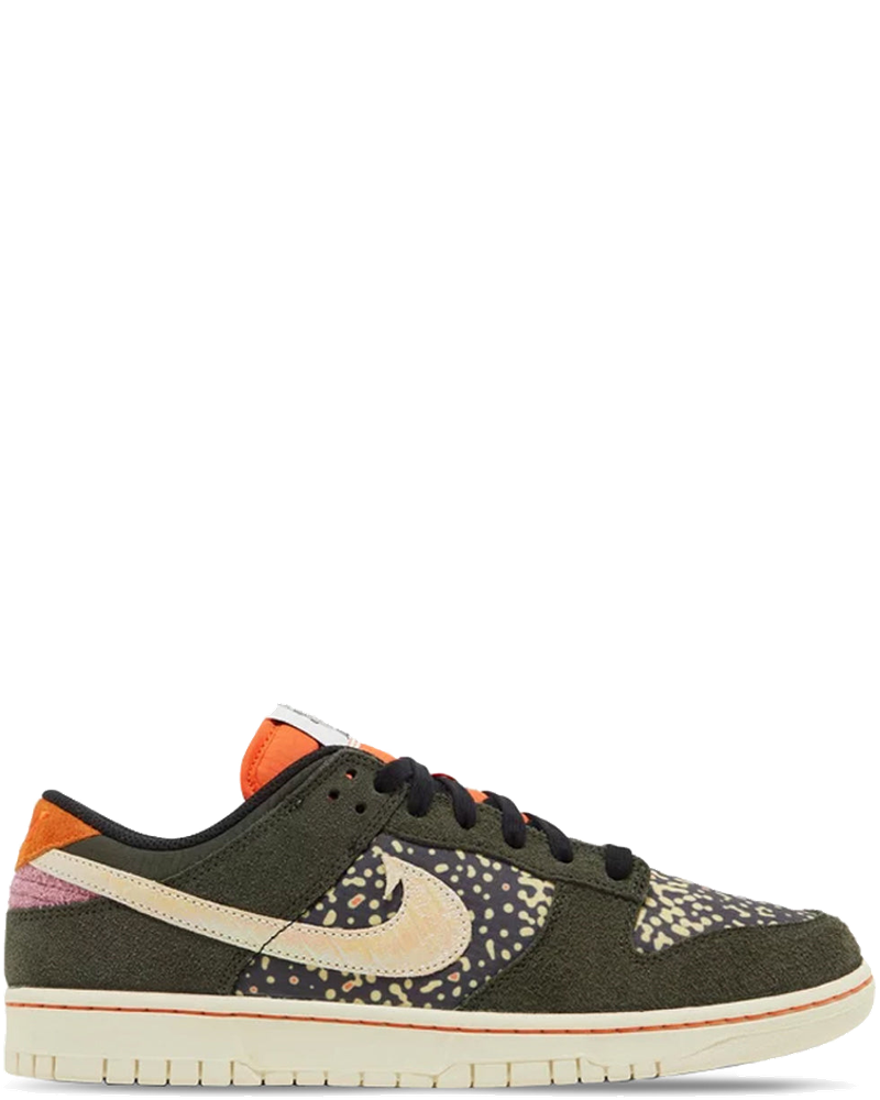 Оригінальна Dunk Low Retro Se Rainbow Trout Nike