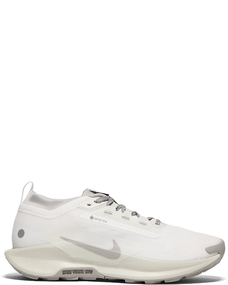 Оригінальна Pegasus Trail 5 Gore Tex Sp Nike