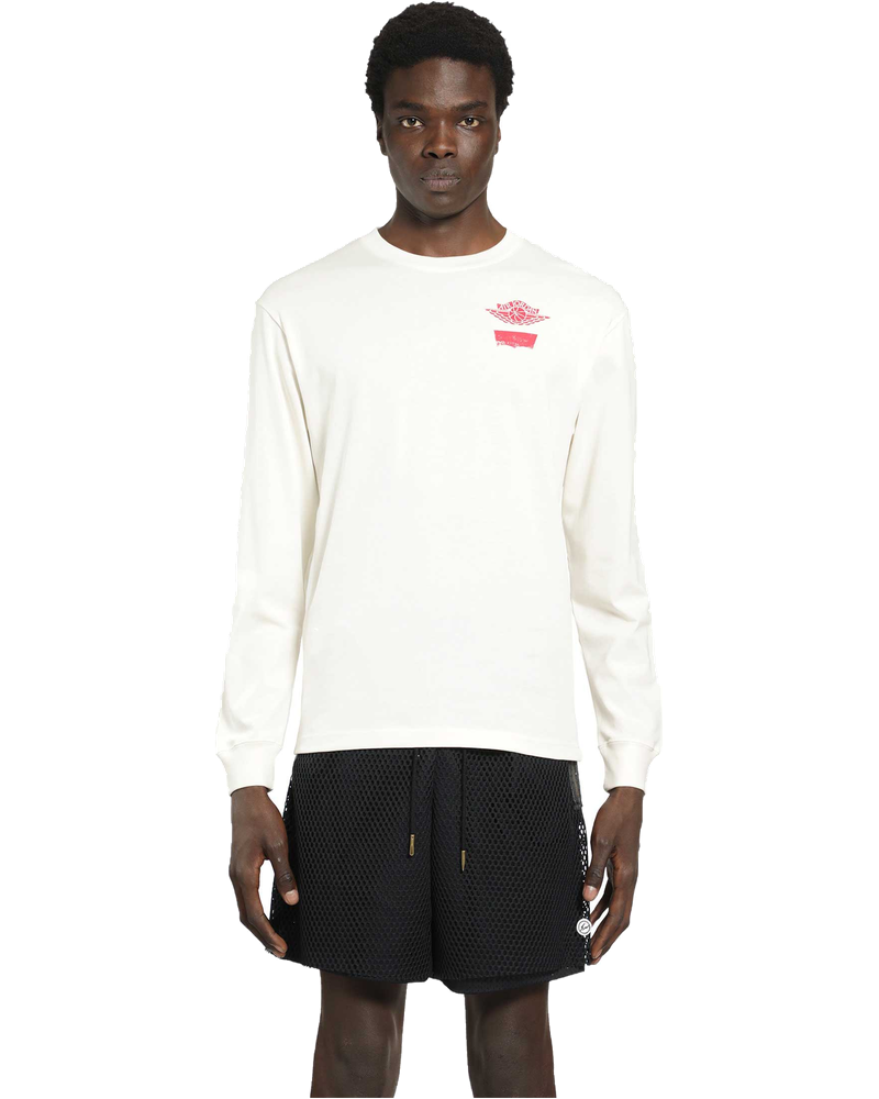 Jordan X Levis Pritned T-Shirt Nike оригінал – Купити в Україні