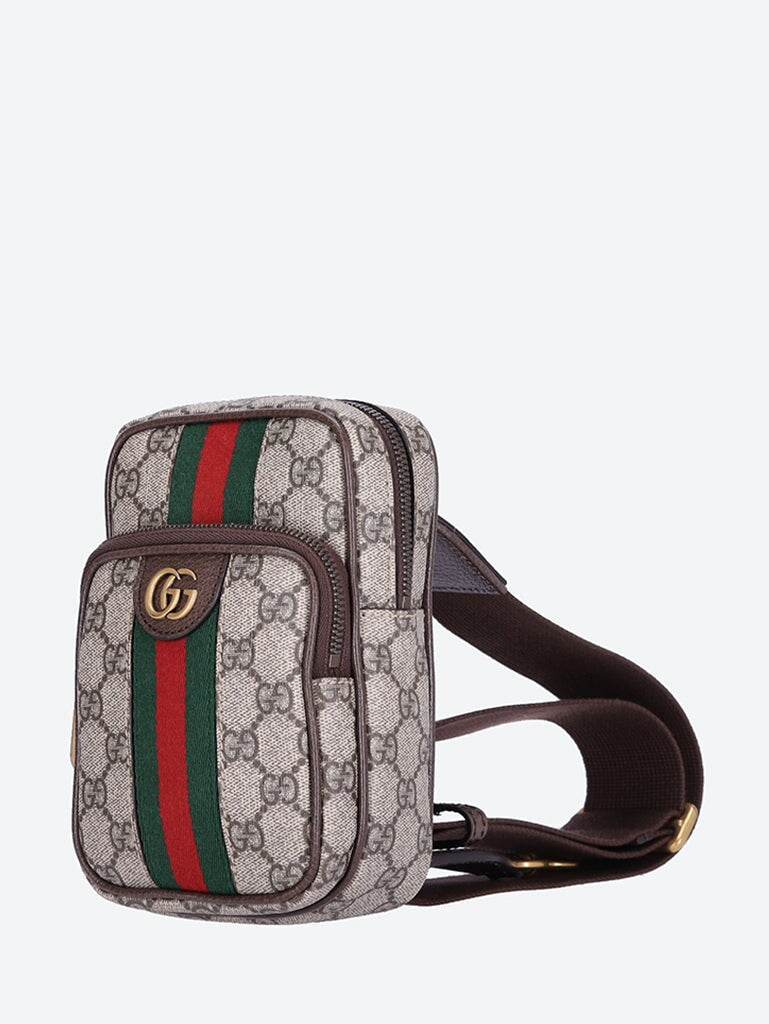 Оригінальна Ophidia Bag Gucci – вид ззаду