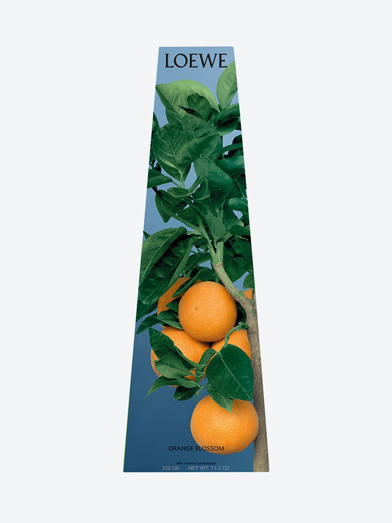 Оригінальна Orange Blossom Wax Candleholder Loewe – вид ззаду