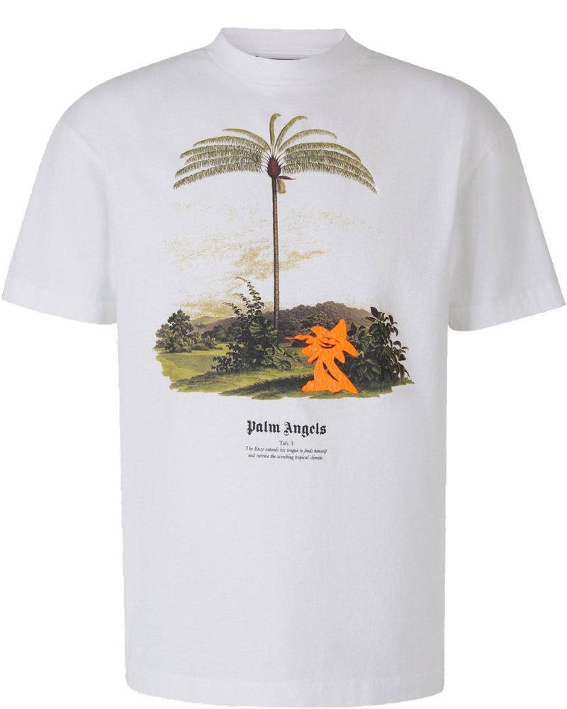 Оригінальна Printed Graphic T-Shirt Palm angels