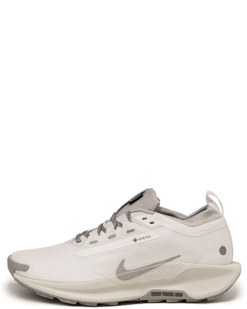 Оригінальна Pegasus Trail 5 *gore Tex* Sp Nike