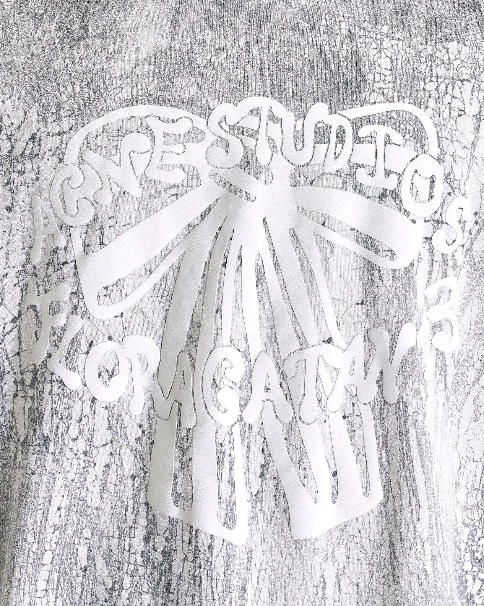 Plaster Print T-Shirt In Faded Black Acne studios оригінал – Купити в Україні – збільшений вид