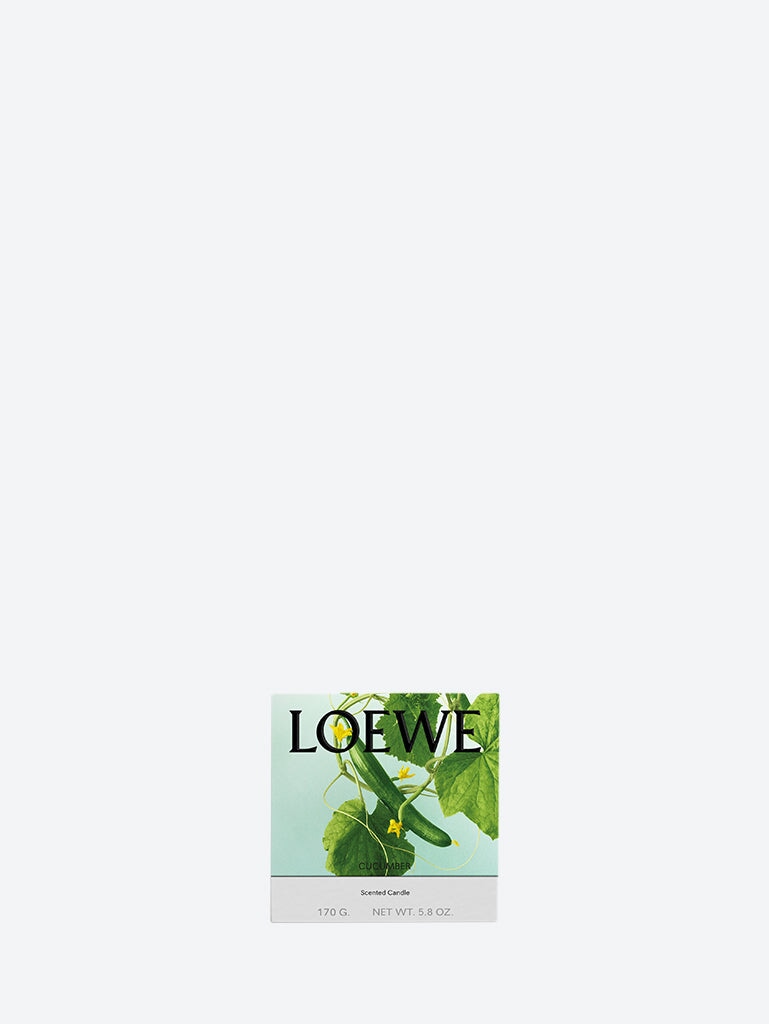 Small Cucumber Ceramic Candle Loewe оригінал – Купити в Україні – вид ззаду