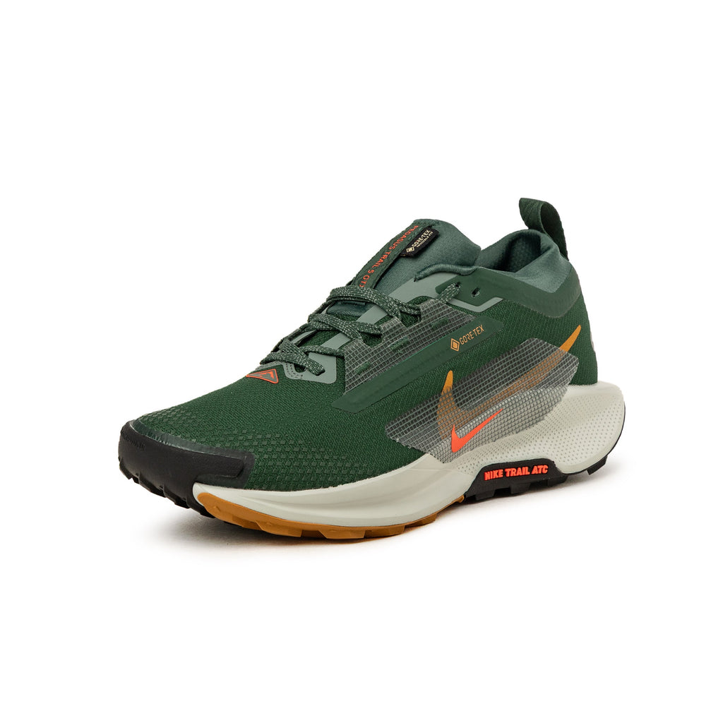 Оригінальна Pegasus Trail 5 *gore Tex* Sp Nike – вид ззаду