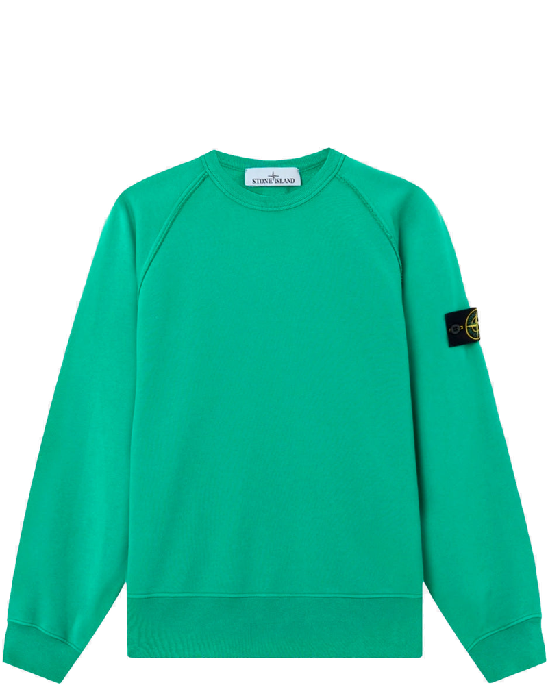 Green Oversized Crewneck Sweatshirt With Raglan Sleeves Stone island – Гарантія оригінальності