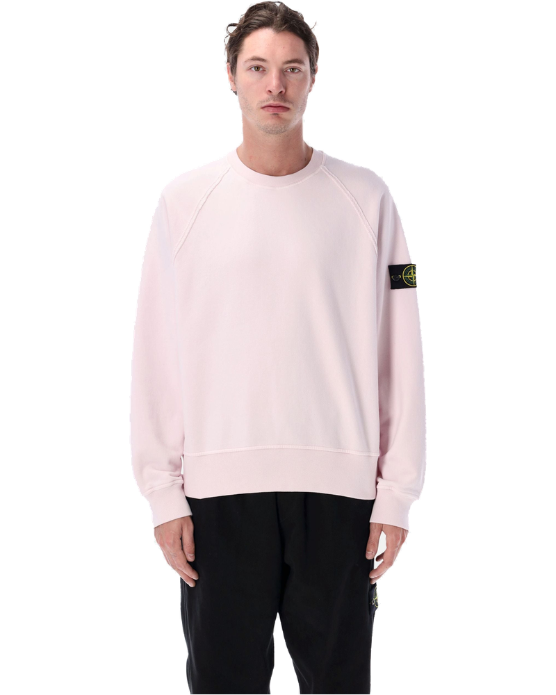 Oversized Crewneck Sweatshirt In Brushed Organic Cotton Stone island оригінал – Купити в Україні