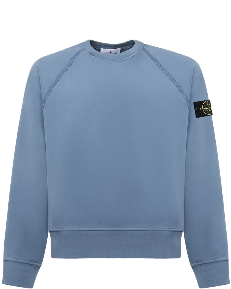 Felpa In Cotone Biologico Con Logo Stone island – Гарантія оригінальності