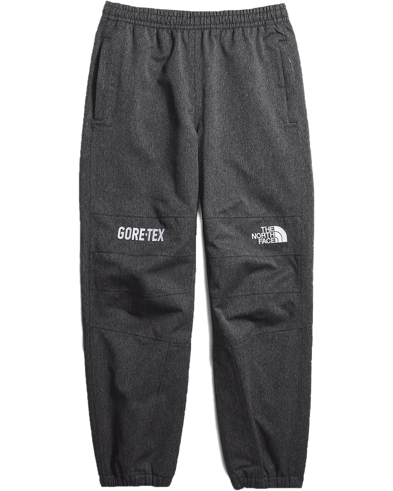 Mens Gtx Mountain Pants The north face – Гарантія оригінальності