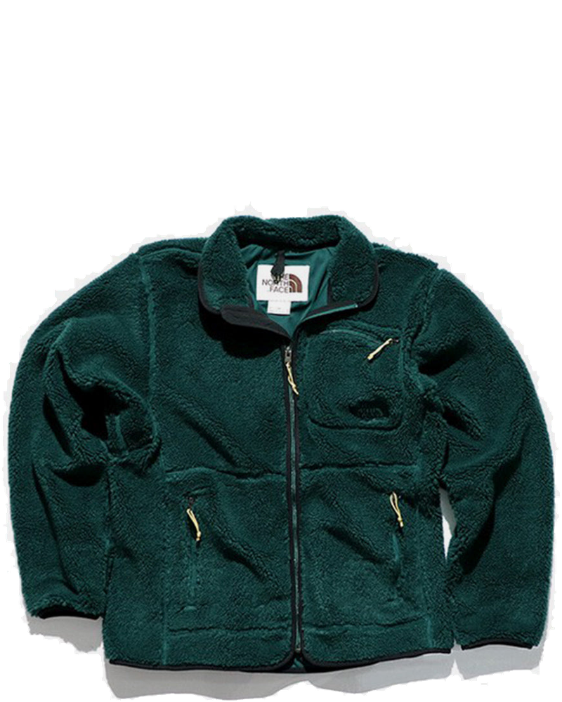 Green Extreme Pile Fleece Jacket The north face оригінал – Купити в Україні