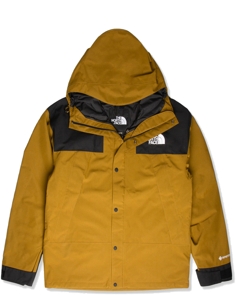 Gtx Mountain Jacket The north face оригінал – Купити в Україні