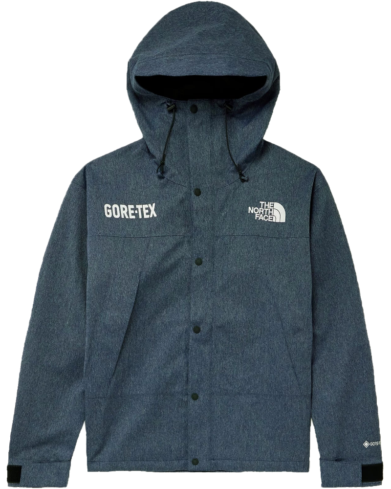 Оригінальна Mens Gtx Mtn Jacket The north face