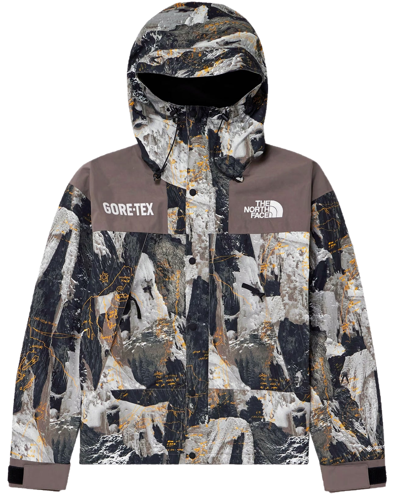 Оригінальна Mens Gtx Mtn Jacket The north face