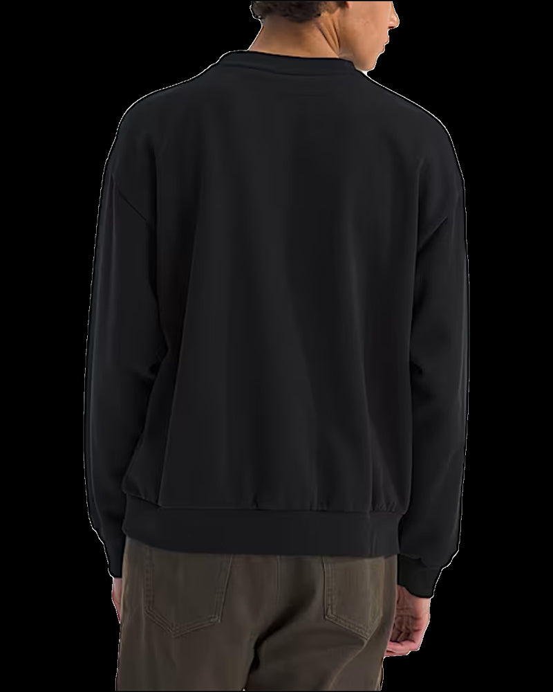 BG_REMOVED_CATALOG_Evolution Simple Dome Oversized Crew - THE NORTH FACE