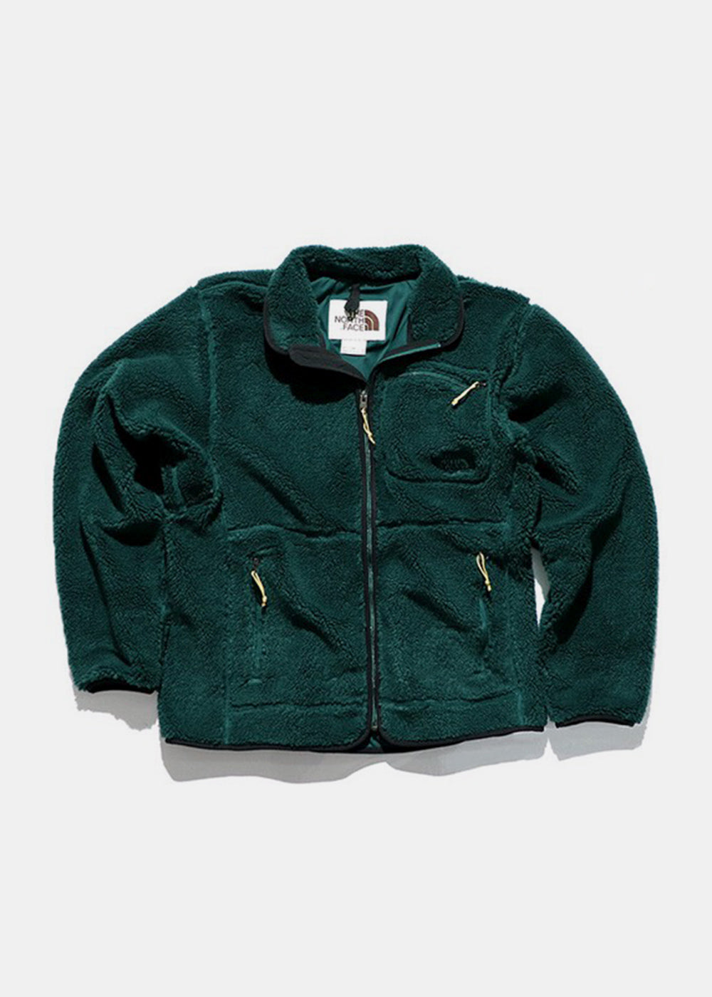Green Extreme Pile Fleece Jacket The north face оригінал – Купити в Україні – боковий вид