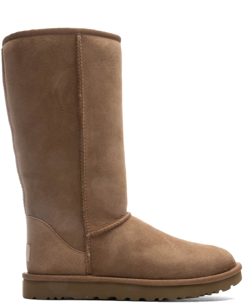 Ugg Footwear оригінал | Швидка доставка Україна