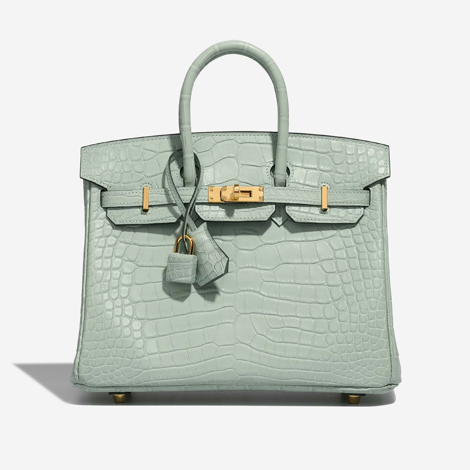 Birkin 25 Matte Alligator Vert Deau Ghw Hermes оригінал – Купити в Україні – боковий вид