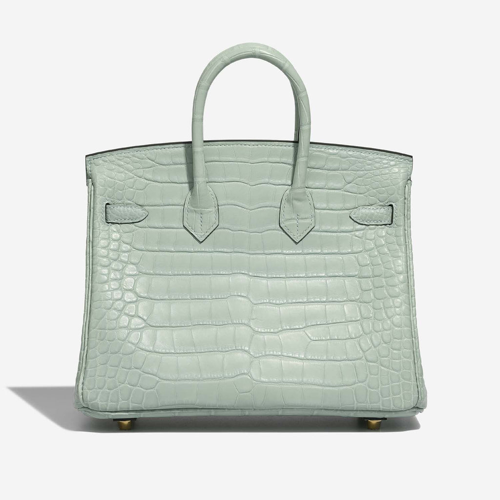 Birkin 25 Matte Alligator Vert Deau Ghw Hermes оригінал – Купити в Україні – вид ззаду
