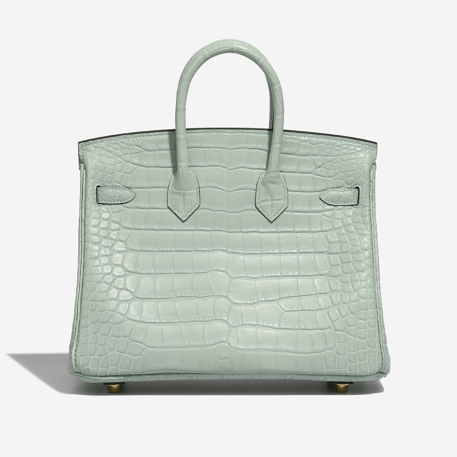 Birkin 25 Matte Alligator Vert Deau Ghw Hermes оригінал – Купити в Україні – вид ззаду